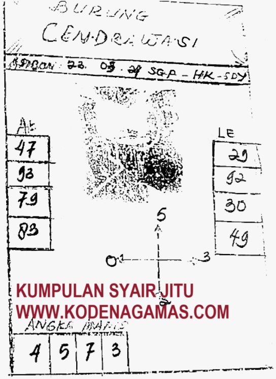 SYAIR SGP VIP